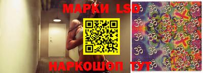 крисы Кунгур