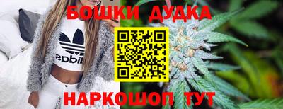 крисы Кунгур