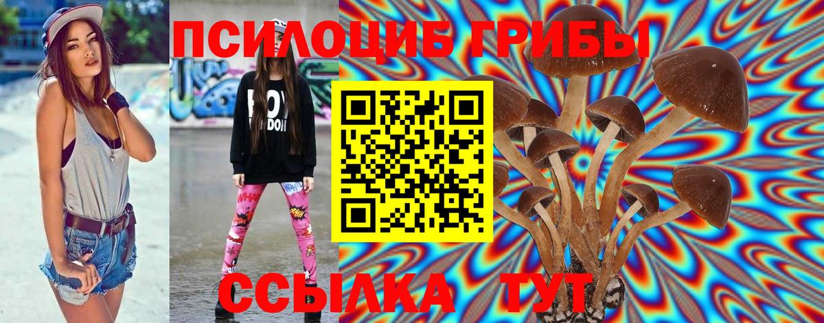Псилоцибиновые грибы Cubensis Унеча